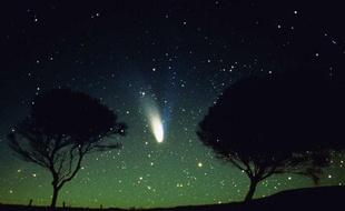 310x190_etoiles-filantes